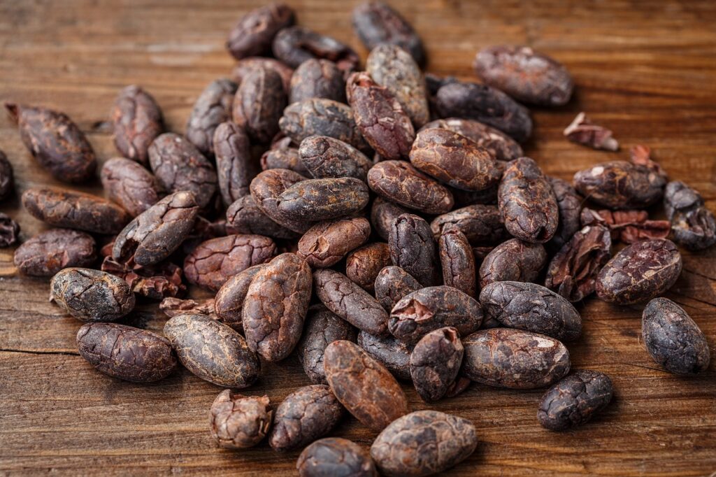 cacao bean, cocoa bean, cocoa